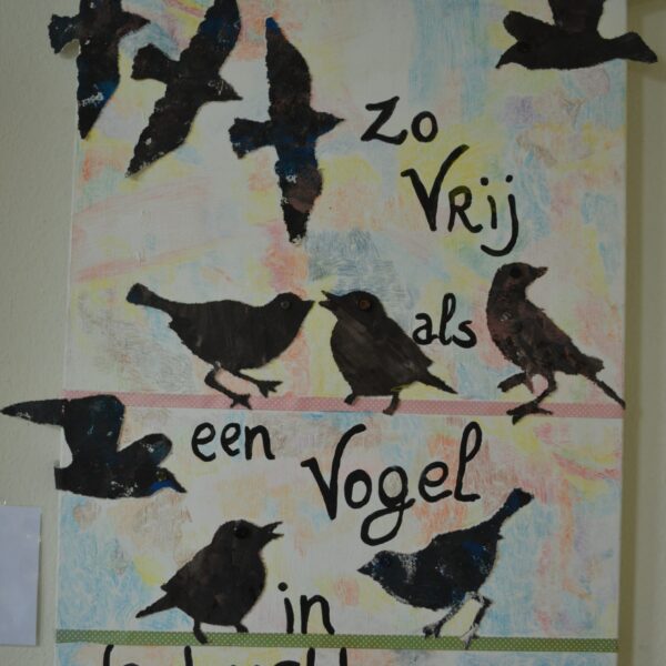 Zo vrij als een vogel